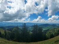 Alp Scheidegg z Wald