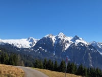 Alp Wildegg vanuit Euthal