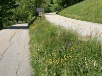 Alpe d'Huez via Villard-Reculas & Pas de la Confession