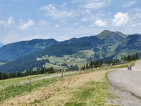 Alpe des Chaux von Gryon