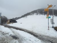 Alpe di Neggia von Vira