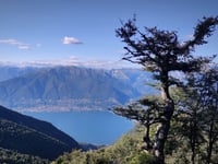 Alpe di Neggia from Vira