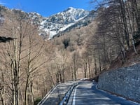 Alpe di Neggia von Vira