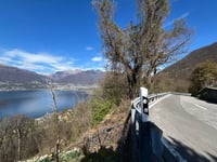 Alpe di Neggia von Vira