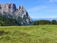 Alpe di Siusi from Lanzin
