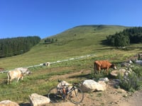 Alpe Giumello von Bellano
