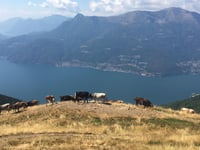 Alpe Giumello von Bellano