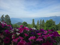 Alpe Pradecolo vanuit Colmegna