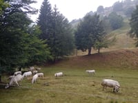 Alpe Quaggione von Montebuglio