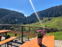 Alpe Schnitzertal