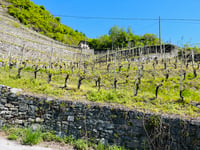 Alpe Teglio / Prato Valentino von Tresenda
