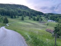 Alpstrasse von Oberbuchsiten