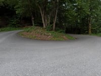 Alpstrasse von Oberbuchsiten