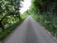 Alpstrasse von Oberbuchsiten