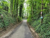 Alsberg von Tielt-Winge