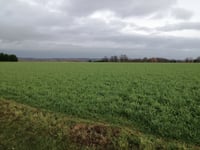 Alsberg von Tielt-Winge
