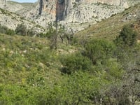 Alt de Tarrenyes / Pla de Petracos von Castell de Castells