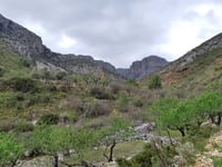 Alt de Tarrenyes / Pla de Petracos von Castell de Castells