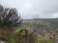 Alt de Tarrenyes / Pla de Petracos von Castell de Castells