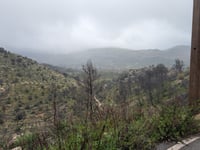 Alt de Tarrenyes / Pla de Petracos von Castell de Castells