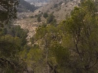 Alt del Capón da Petrer