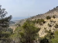 Alt del Capón da Petrer