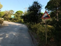 Alt del Masnou desde Platja d'Aro