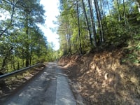 Alt del Montnou depuis Riera de Canalda