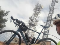 Alt del Pi da Albalat dels Tarongers