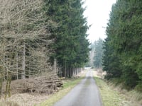 Alt-Hattlich von Schwarzbach