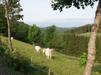 Altastenberg por Nordenau