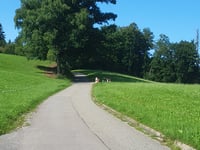 Alte Landstrasse via Leiblachstrasse