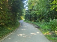 Alte Landstrasse via Leiblachstrasse