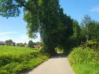 Alte Landstrasse via Leiblachstrasse