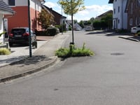Alte Wardener Strasse von Hoengen