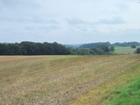 Altenlohoff por Ilbeckweg
