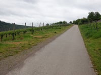 Alter Brauerweg von Traben-Trarbach