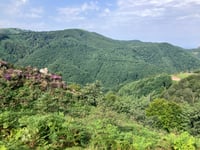 Alto Agiña desde Lesaka