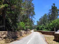 Alto da Condessa depuis Ribeira de Colares par Estrada dos Capuchos