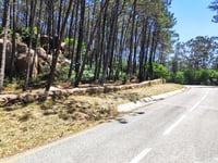 Alto da Condessa depuis Ribeira de Colares par Estrada dos Capuchos