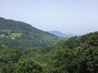 Alto de Aritxulegi from Ergoien
