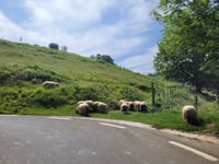 Alto de Azurki da Zestoa