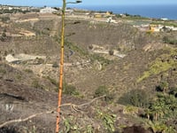 Alto de los Moriscos desde El Pagador