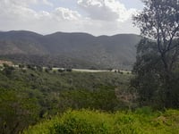 Alto de Malhão desde Cortinhola