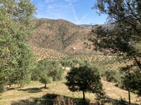 Alto de Obejo von Río Cuzna