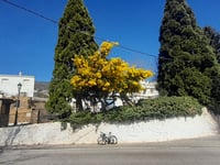 Alto de Trevélez da Órgiva