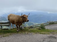 Alto de l'Angliru