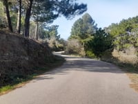 Alto del Pinar von Villamalur