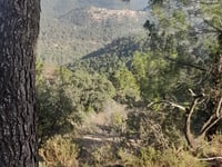 Alto del Pinar von Villamalur