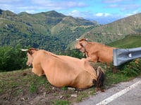 Alto del Torno von Corao